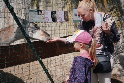 Komentované krmení – Farmapark u Toma